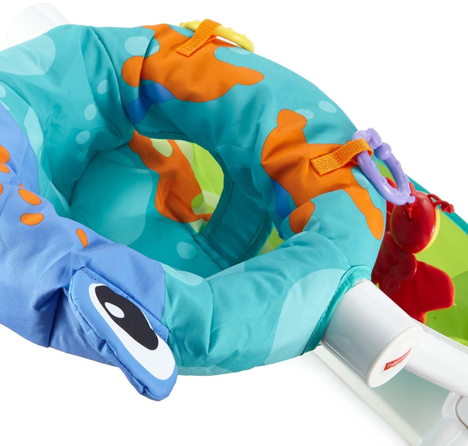 imageFisherPrice Portable Baby Chair SitMeUp Floor Seat With Developmental Toys ampamp Machine Washable Seat Pad Pacific Pebble1 Count Pack of 1