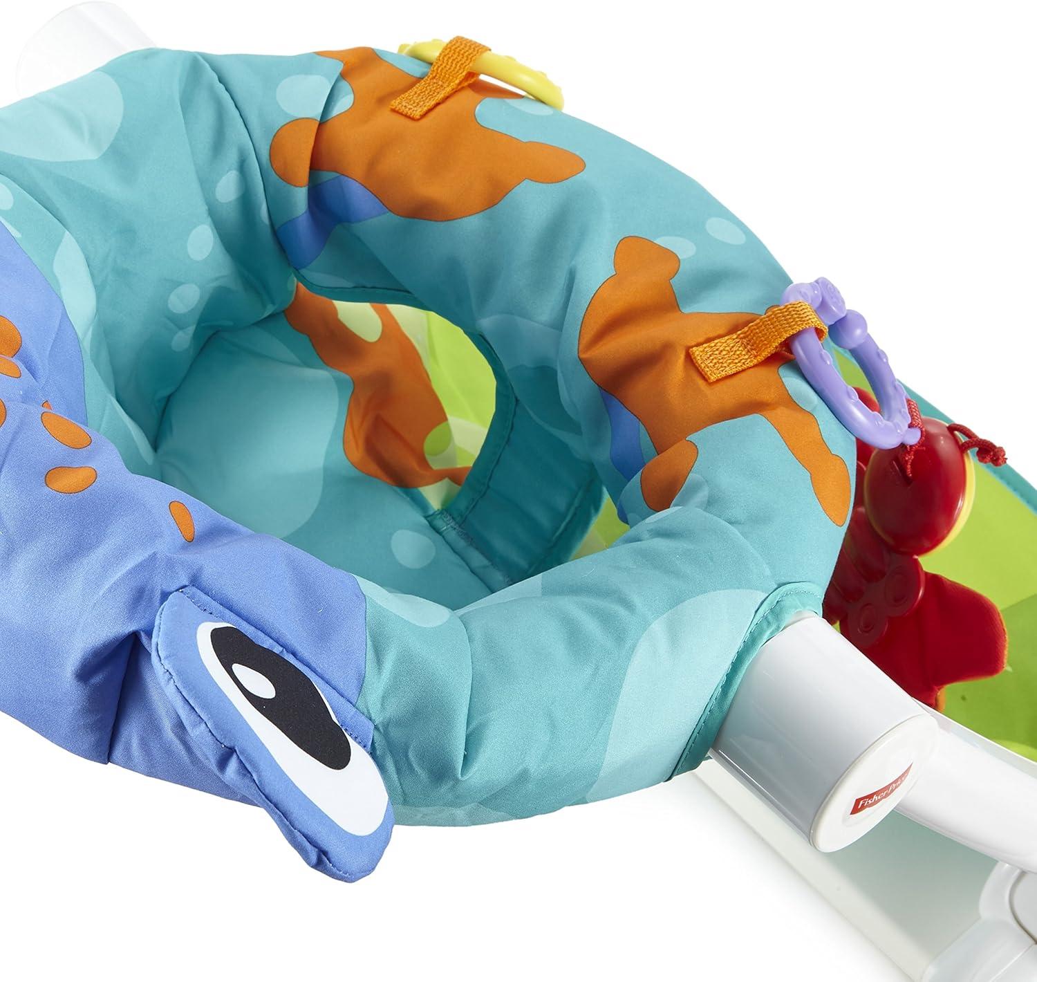 imageFisherPrice Portable Baby Chair SitMeUp Floor Seat With Developmental Toys ampamp Machine Washable Seat Pad Pacific Pebble1 Count Pack of 1