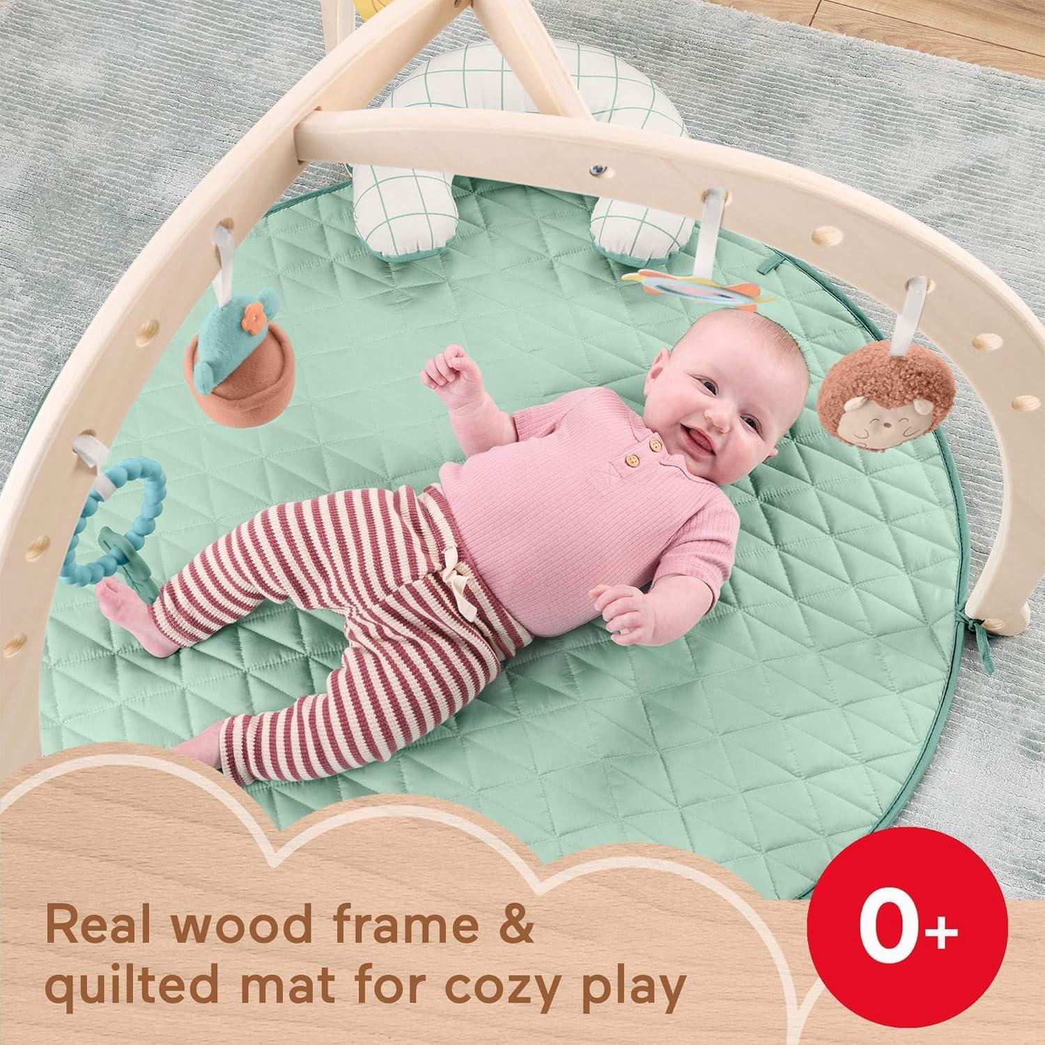 imageFisherPrice Wood Baby Playmat Lay ampamp Play Deluxe Activity Gym with Wooden Frame ampamp Tummy Time Sensory Toys for Newborns 0 Months Amazon Exclusive
