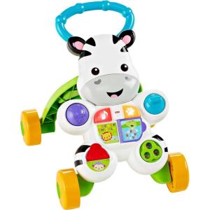 Fisher-Price Baby Push Toy Learn with Me Zebra Walker Musical Learning Activity with Lights & Fine Motor Play for Infants Ages 6+ Months (Amazon Exclusive)(Frustration-Free Packaging)