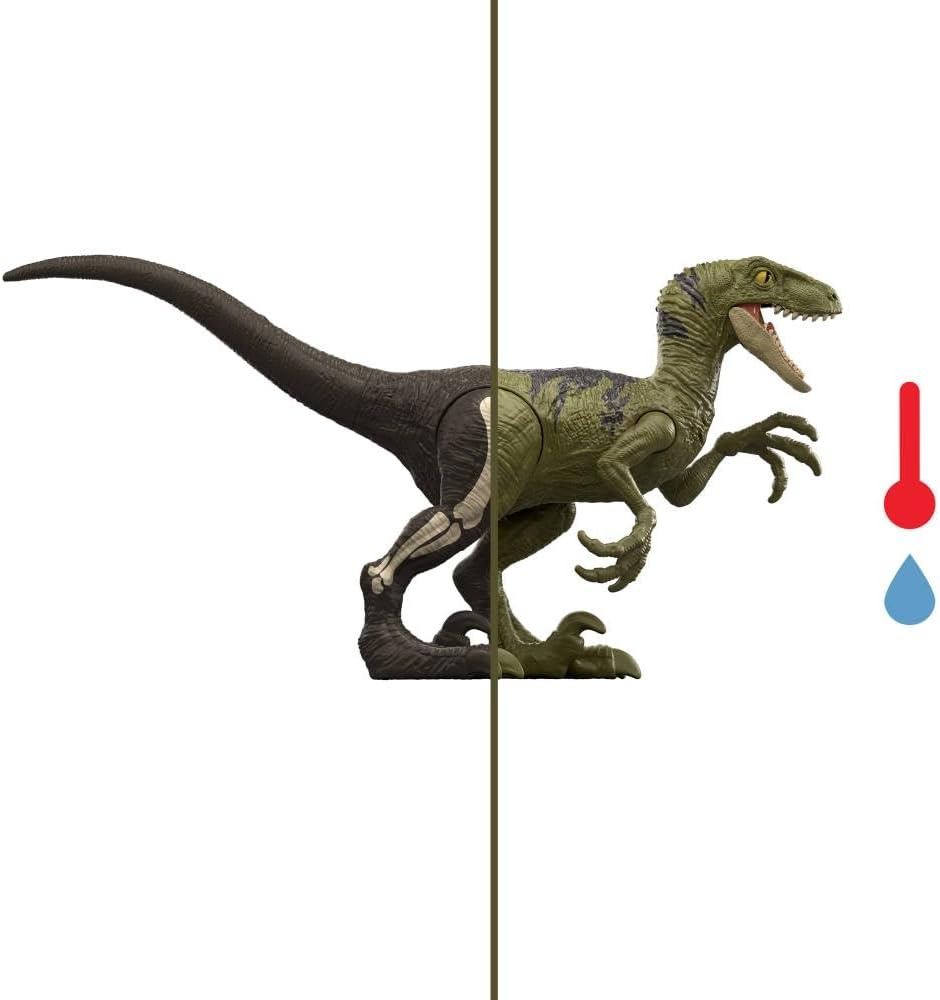 image:imageMattel Jurassic World Dino Reveal Dinosaur Toys Unpack Surprise amp Warm Water Uncovers Full Decoration 5 to 7 Inches Species Vary